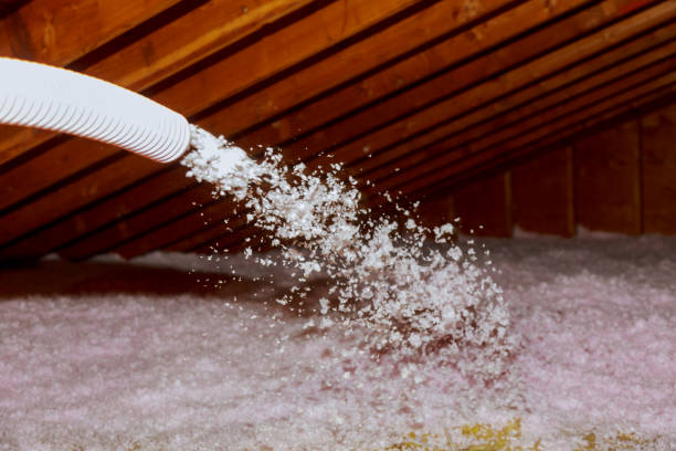 Best Crawl Space Insulation  in Chico, CA